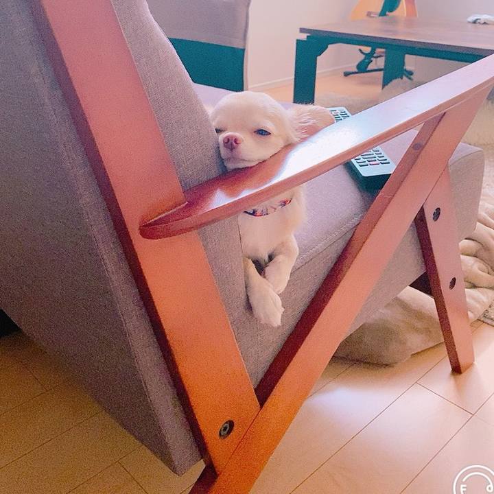 B0d14472 0a14 42f7 af03 c28ca609125b 1631858929909