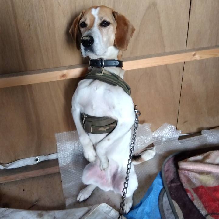 B0d1a2ce 9bbe 4965 80c1 d04ad9148d6c 1686139209805