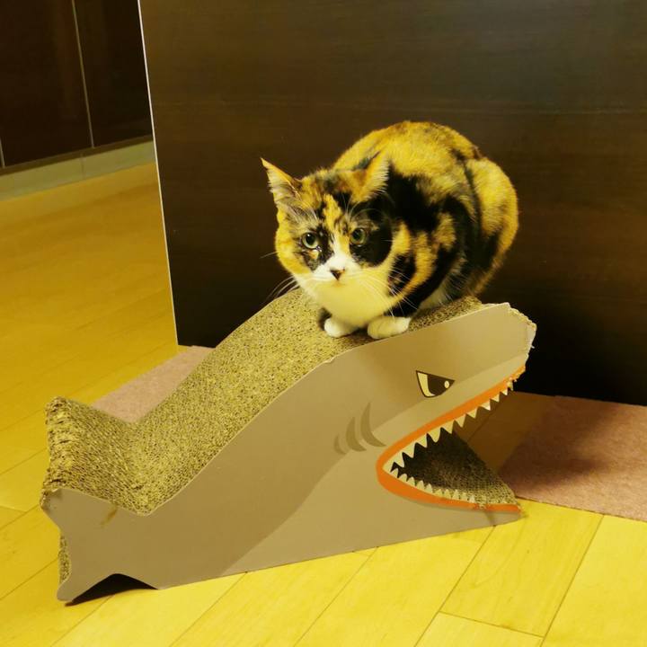 B0d1c0e2 4653 48b4 a5e5 aa5925e3cb7c 1675311988896