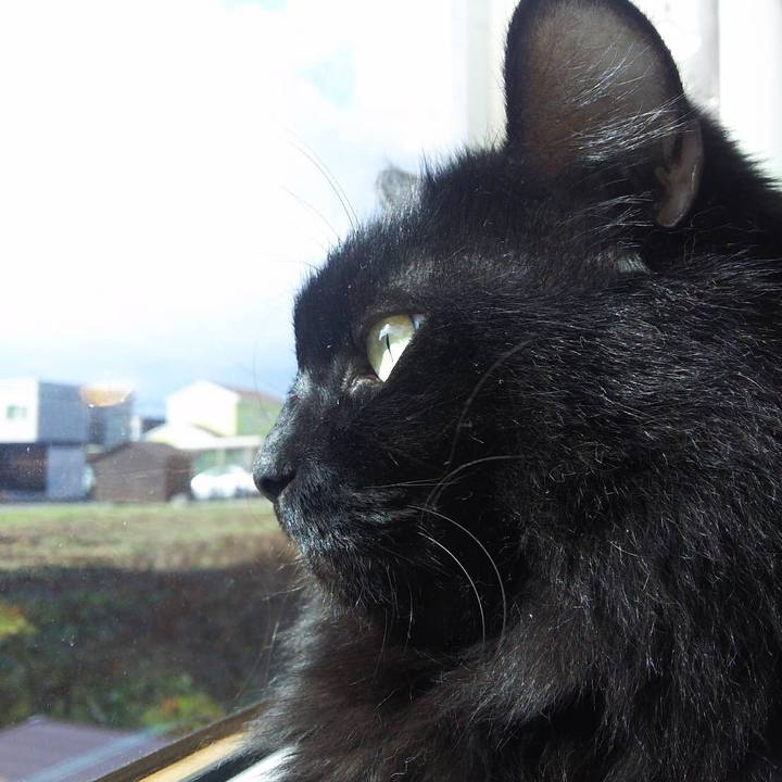 B0d1f9e1 fbbb 4a29 b079 fa3879269478 1509848860049