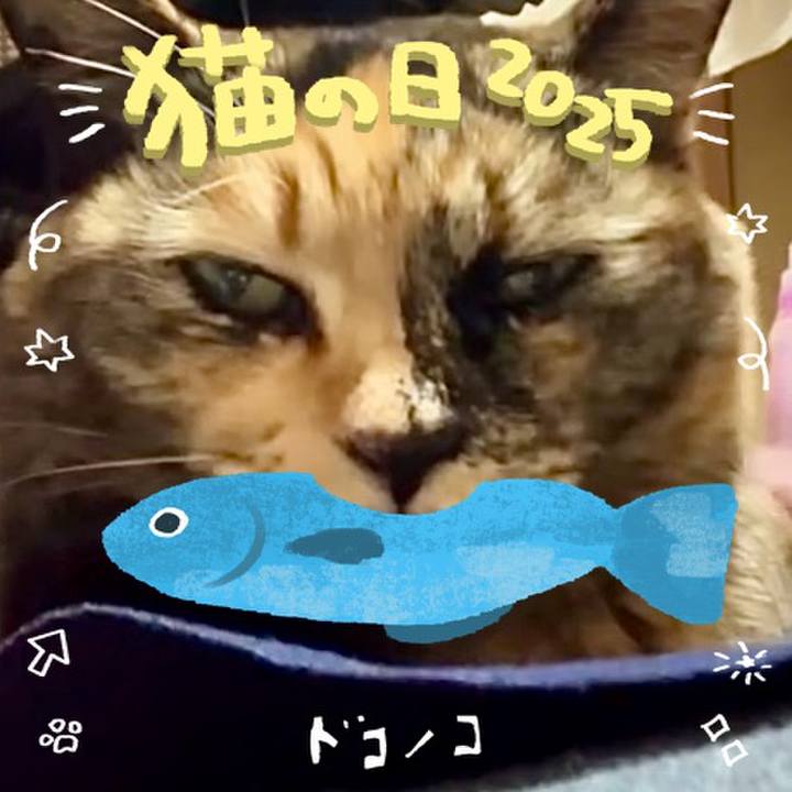 B0d213f1 1184 4b6e 8a80 53ac542e85b7 1740103967757