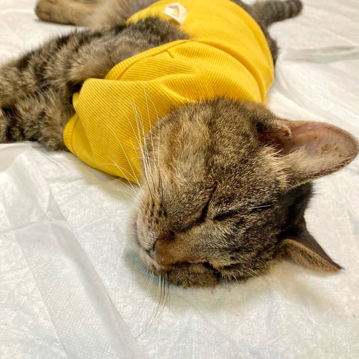 B0d24c33 bff8 4817 ab7c b2ba33251f63 1689847694805