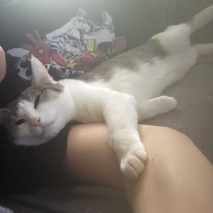 B0d272f0 2a3c 43ea b639 c338edba8a3b 1644199732754