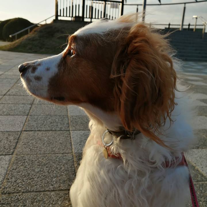 B0d28e0b 08da 484b b1ab 70f10668438f 1612353009434