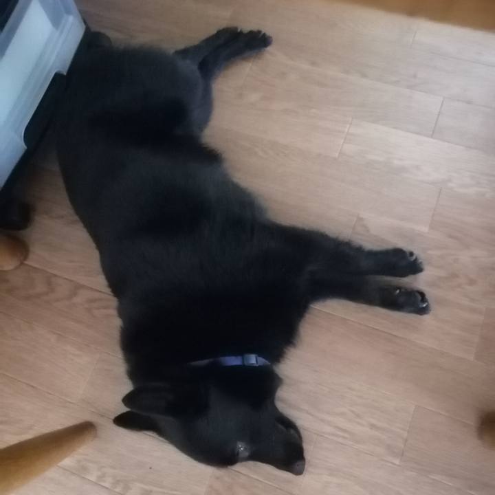 B0d2a442 dd64 426b b4b5 d329d2f0d165 1628546904134