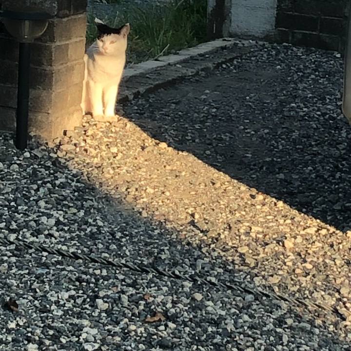 B0d2e462 584f 47fd 8fac c26ecd9b21a9 1598911928920