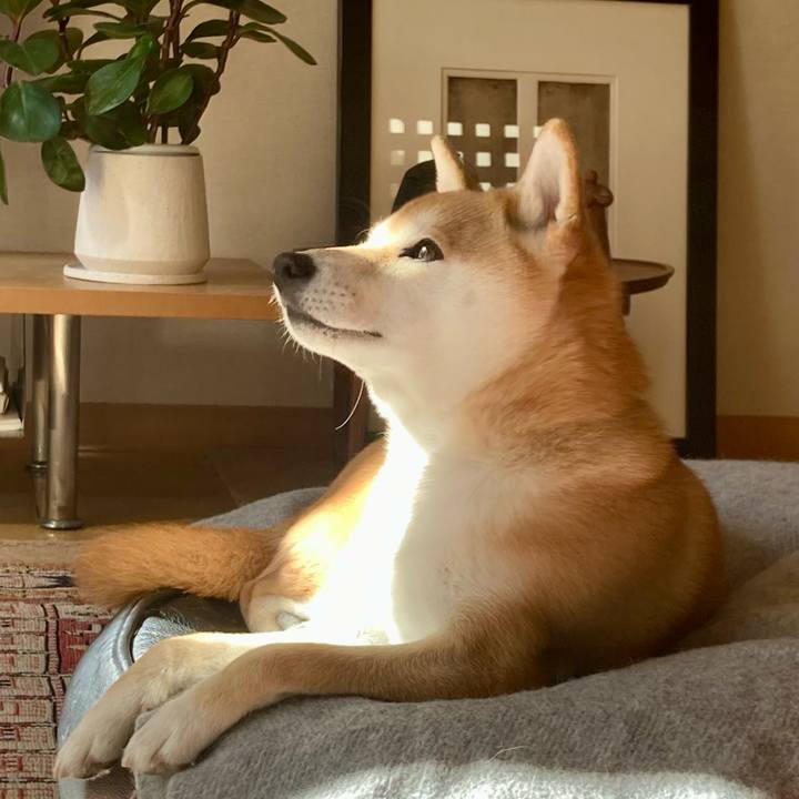 B0d30bac f741 4b46 a1c1 569e5446f57d 1739935462617