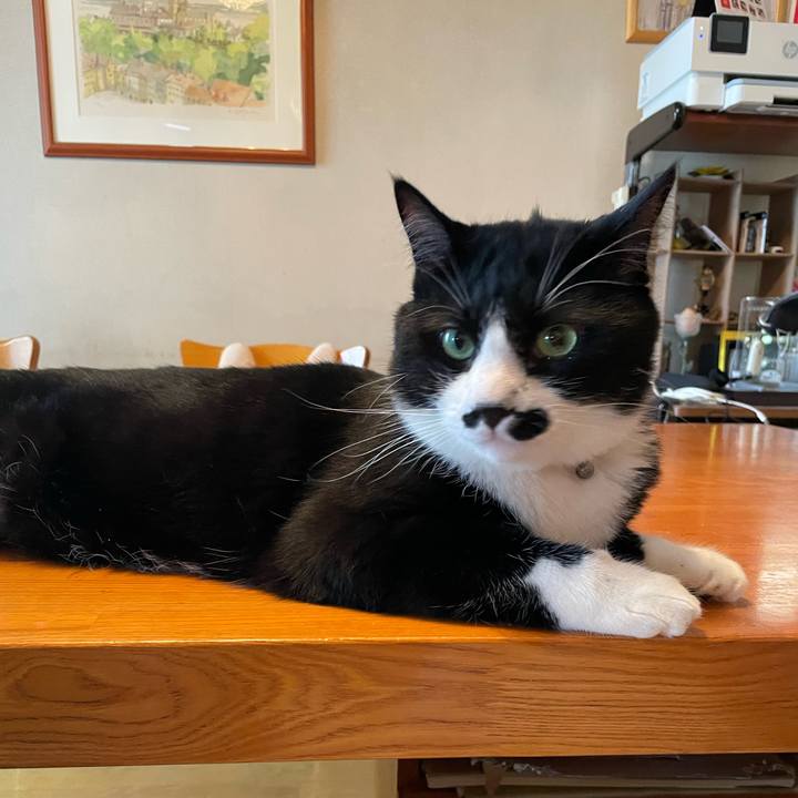 B0d32d94 f0f0 42a5 94a6 bd9a4ecc2b53 1687927629472