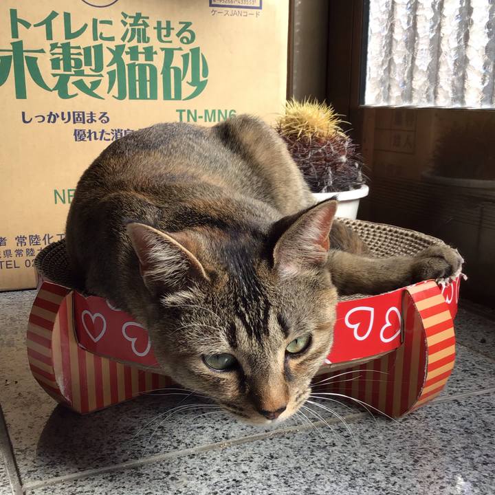 B0d33f73 13bc 4a56 a5d3 d24cf0c17239 1583910369198