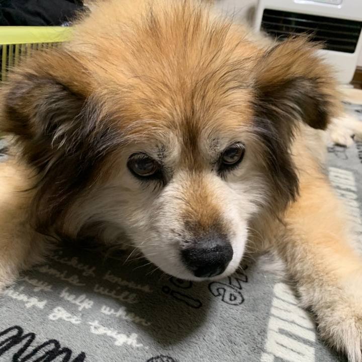 B0d349c5 5dc5 45a2 878a 2033c96db48d 1617209263873