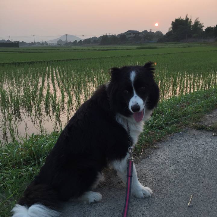 B0d34edf 04a4 4b0d b691 5f220aaa2f59 1531774090011