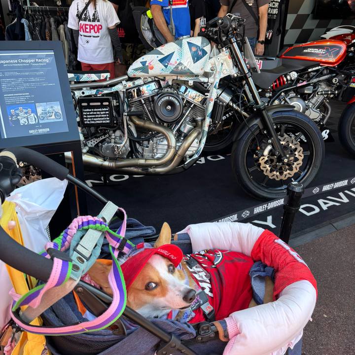 B0d3808f 9b0f 4b3a a996 fdf8d984ccab 1758951678529