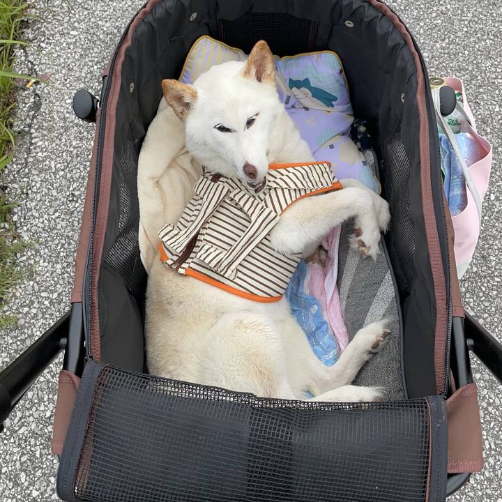 B0d39f63 862a 4c91 904d 99ad92dc853f 1655044118133