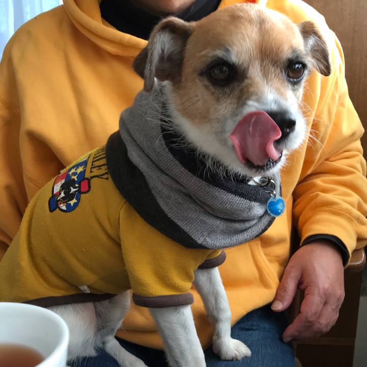 B0d3ba41 f9d6 4e07 85bd c383d662290b 1546164005793