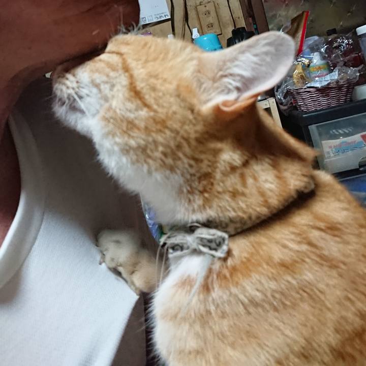 B0d3cec9 da82 46d9 b9df ae30243c9c4a 1591298824711