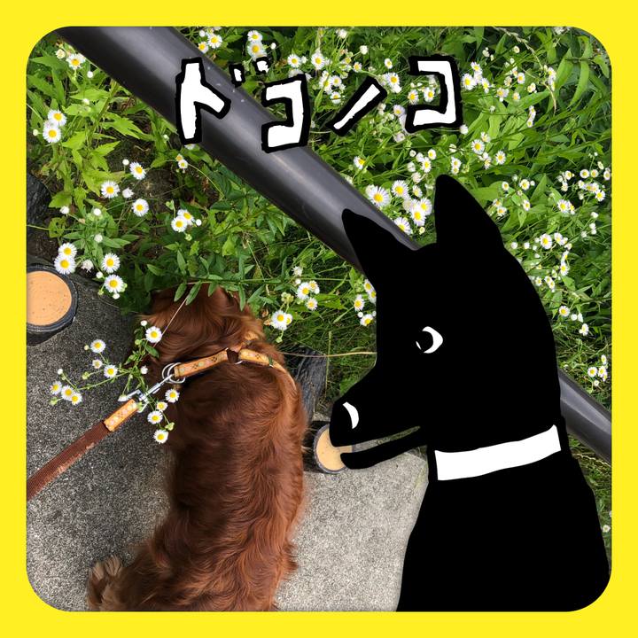 B0d3e957 94f6 41ad 9ea7 955de225ca91 1623459428712