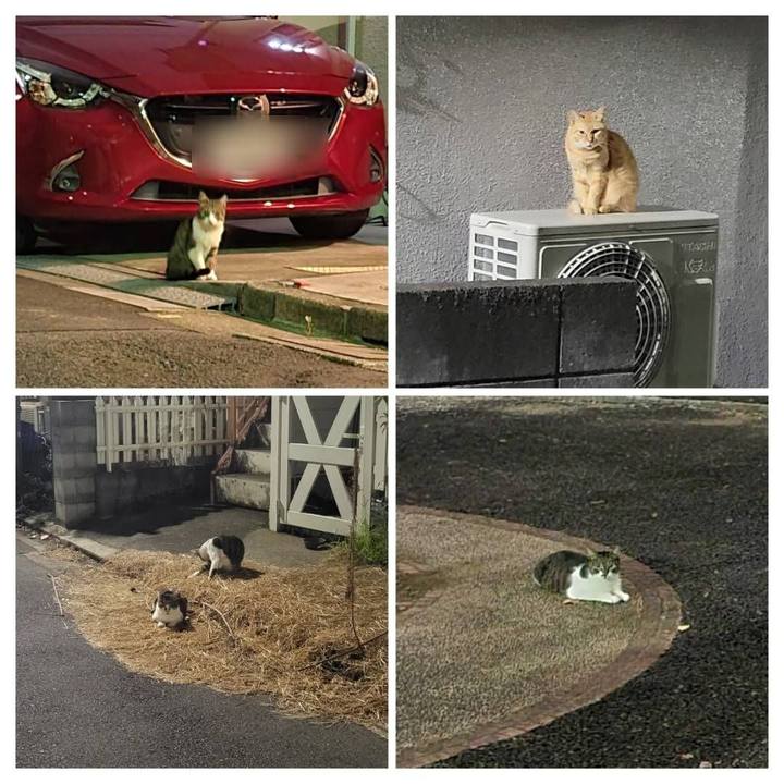 B0d3ee6b 25cd 4942 b4e7 61251b9f105d 1694141073073