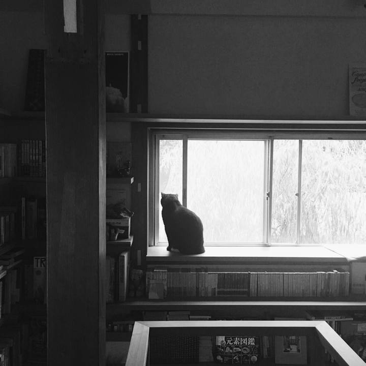 B0d3f410 a788 4d9a abc1 9e5948b20191 1539267520234