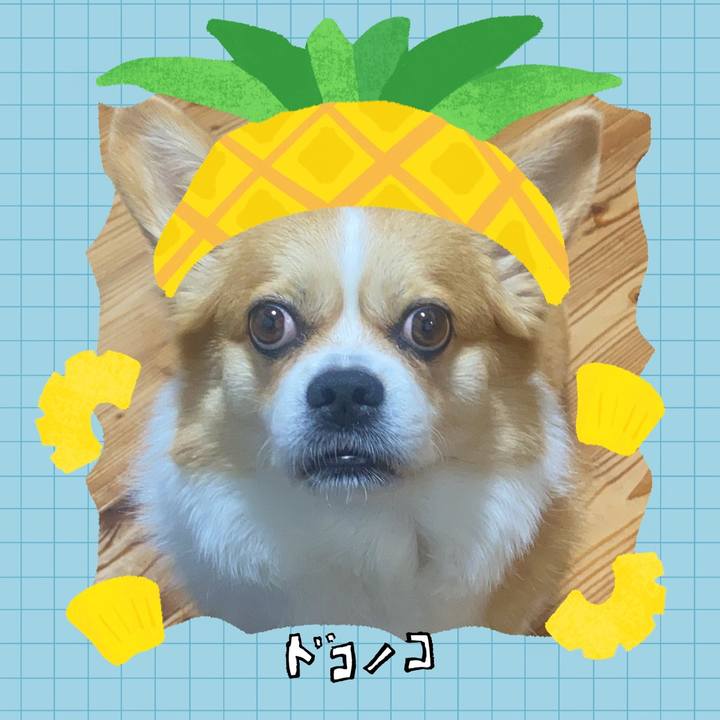 B0d3fa83 d8bf 43c1 a59a eca6957b29f5 1783340237946