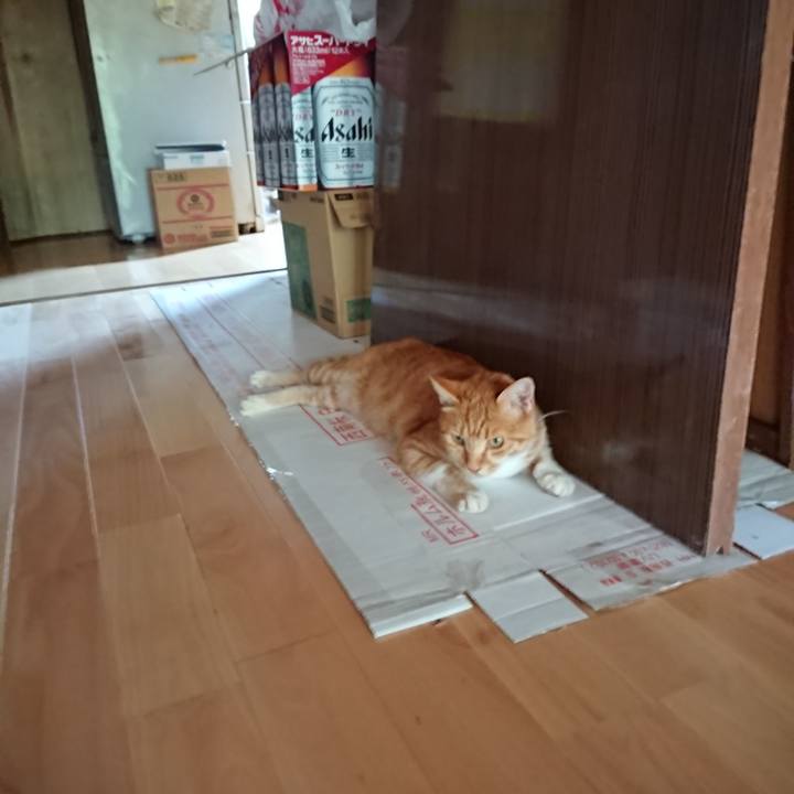 B0d40553 bf8e 4407 8411 cbeaf51b9f54 1597136744832