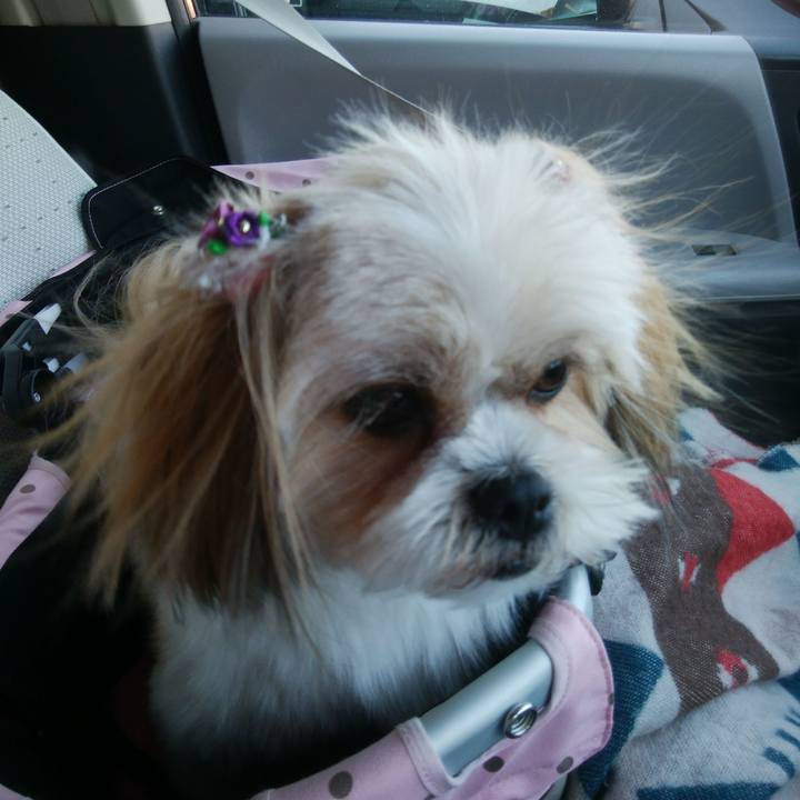 B0d40a44 f3a8 4d79 8953 d43545243086 1518584784053