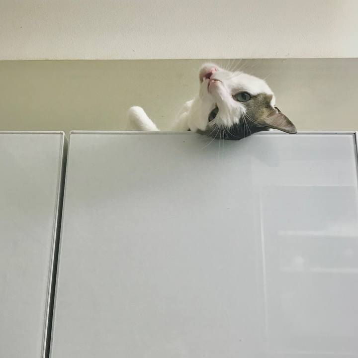 B0d42528 e48d 4e3e a603 20de2223f953 1666622586980