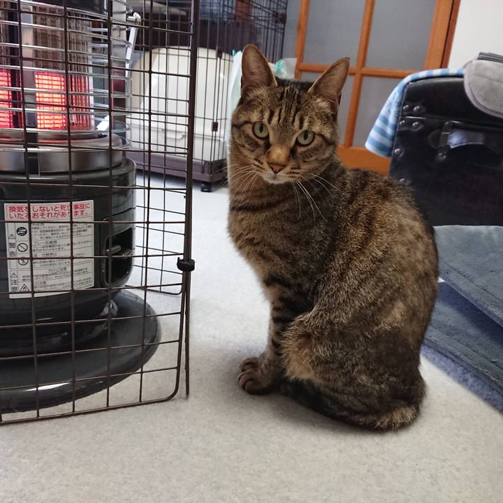 B0d448a9 899f 4c87 b322 83d94b484b6a 1584152082973