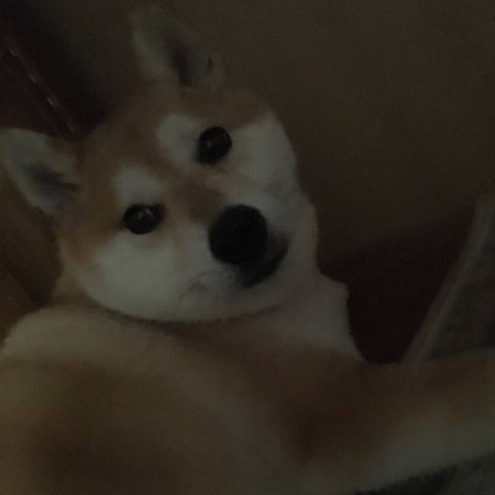 B0d448d8 4e73 4c45 ab86 3d5b73ddde01 1566976917740