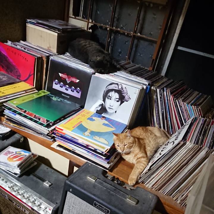 B0d457f1 9e07 4b88 9a3b 308b01106cd3 1656938195228