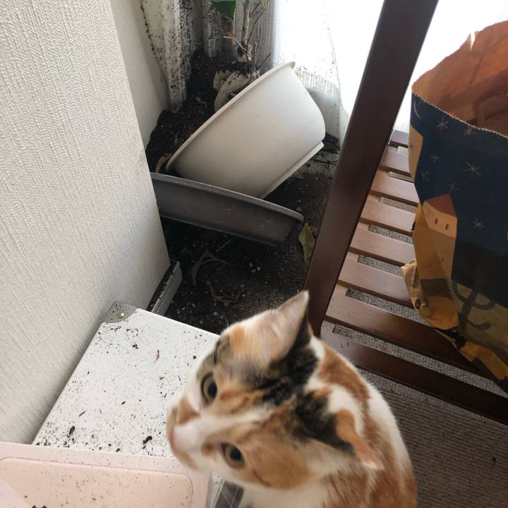 B0d46e38 4a9b 4181 8a7b 0e0644e74a2e 1582241713986