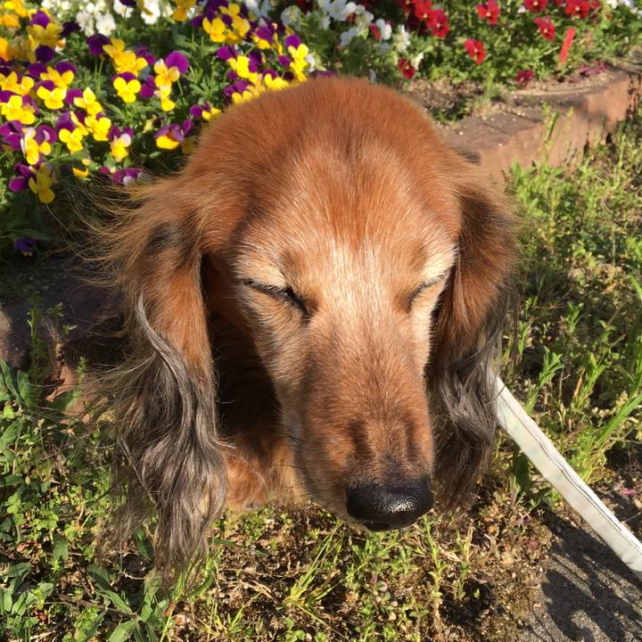 B0d471a2 ed6b 4f00 8e23 cc02c15dc53d 1614060217985