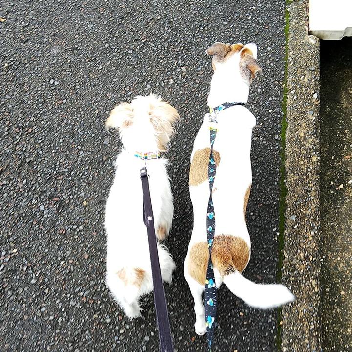 B0d4bc90 df11 4694 ad16 07bdb3e8559f 1538276098849