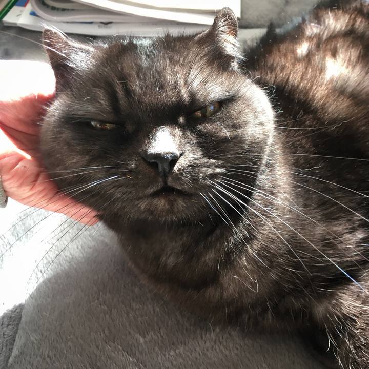 B0d4d64c 7b2a 4fd9 96e3 28c32f0924a9 1575086396357