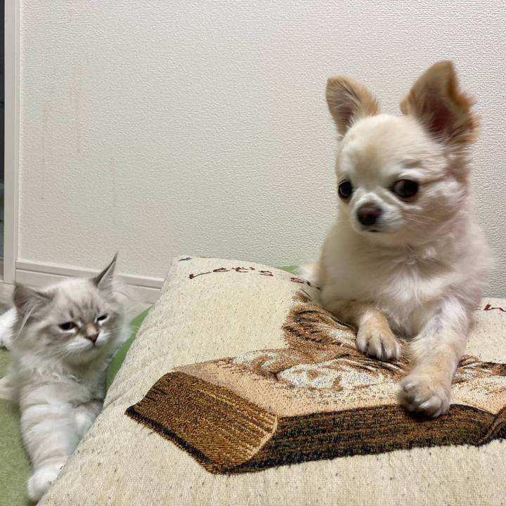 B0d4da2b cbd6 42ef b07f 044b29e738ba 1670682026376