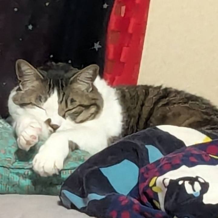 B0d4dff7 178d 46b6 bb07 5bf5db00fb32 1772938875968