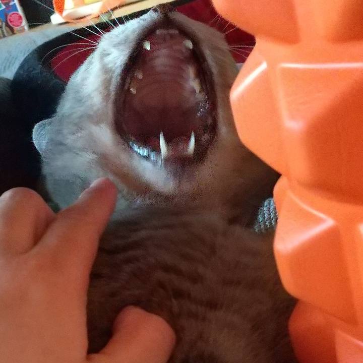 B0d53e94 9cbf 4392 a091 c6cf0220197f 1660202929015