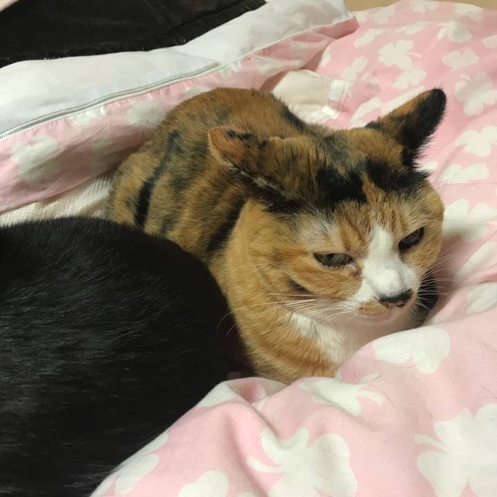 B0d58b7e 541a 4ab9 bc49 0ad4dc36288d 1578049646562