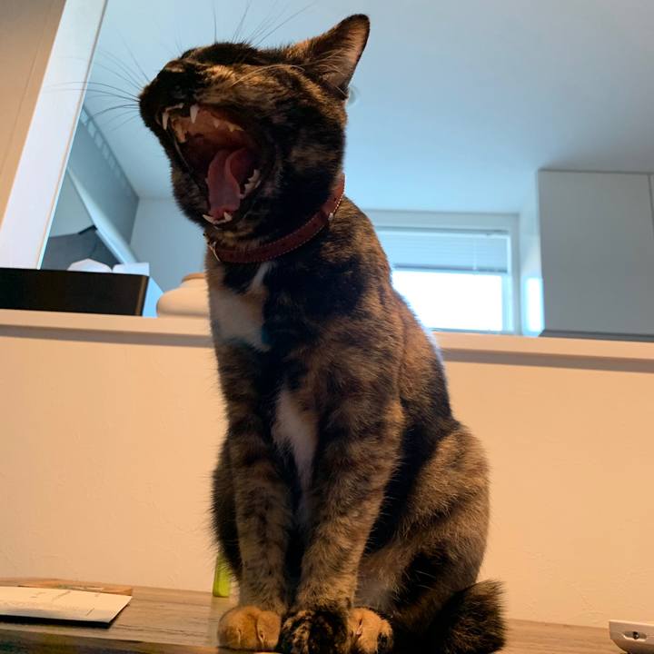 B0d594e6 2c42 4b82 893f d7937835dbd8 1579571578167