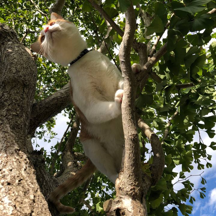 B0d60687 4ae1 4638 94a7 56e245c8c5c8 1538464238486