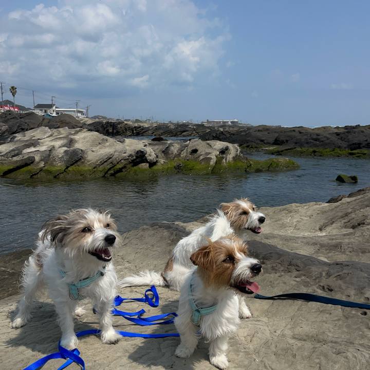 B0d627de dd36 4629 80ef 871eb7f5afbc 1774782787789