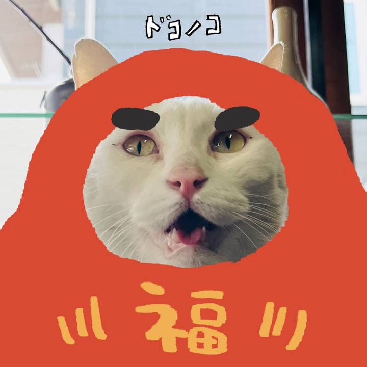 B0d6905f 63a5 4e15 8eb0 f8ae19bea81e 1772113854383