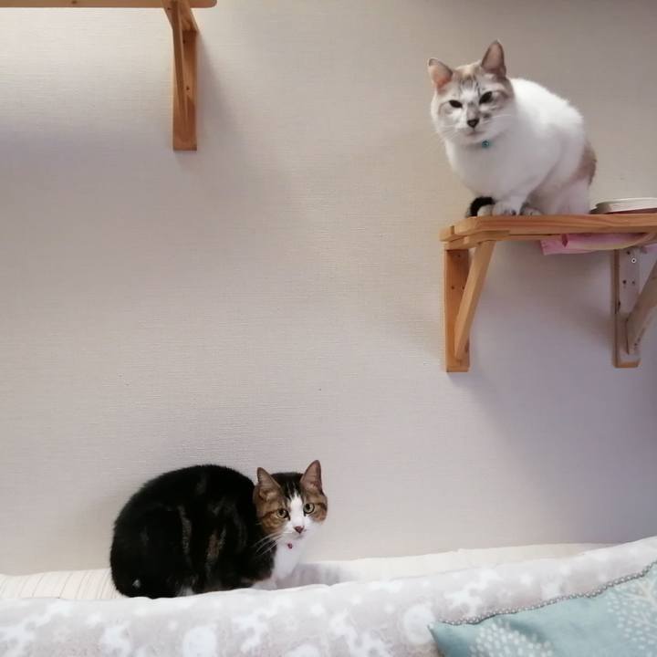 B0d69518 e042 440d 8b06 0e5abbdd9f10 1575275802333