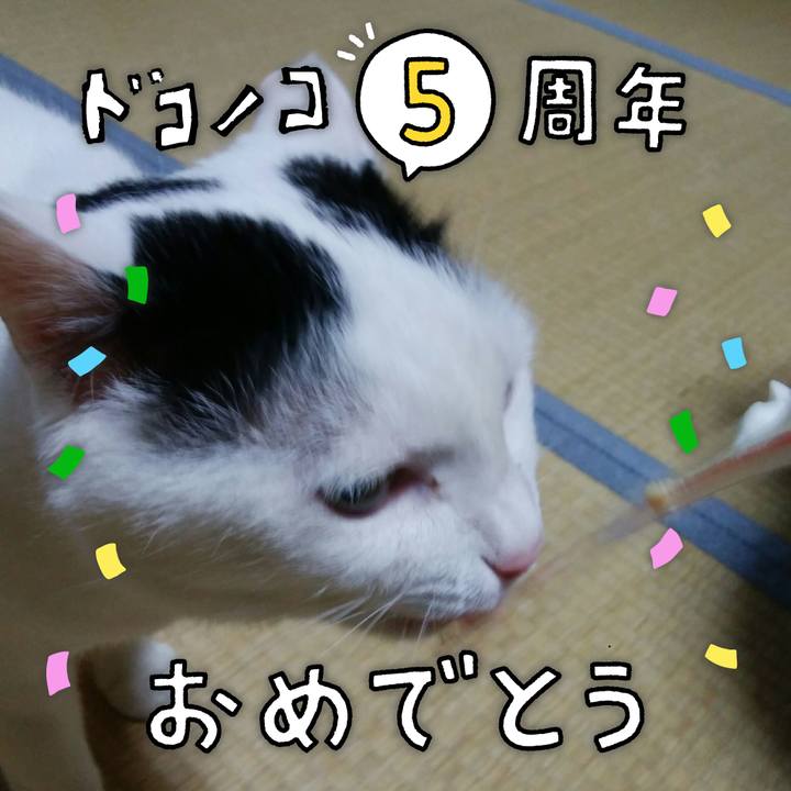 B0d69de1 66db 4909 b037 0b3065ca753b 1623232515951