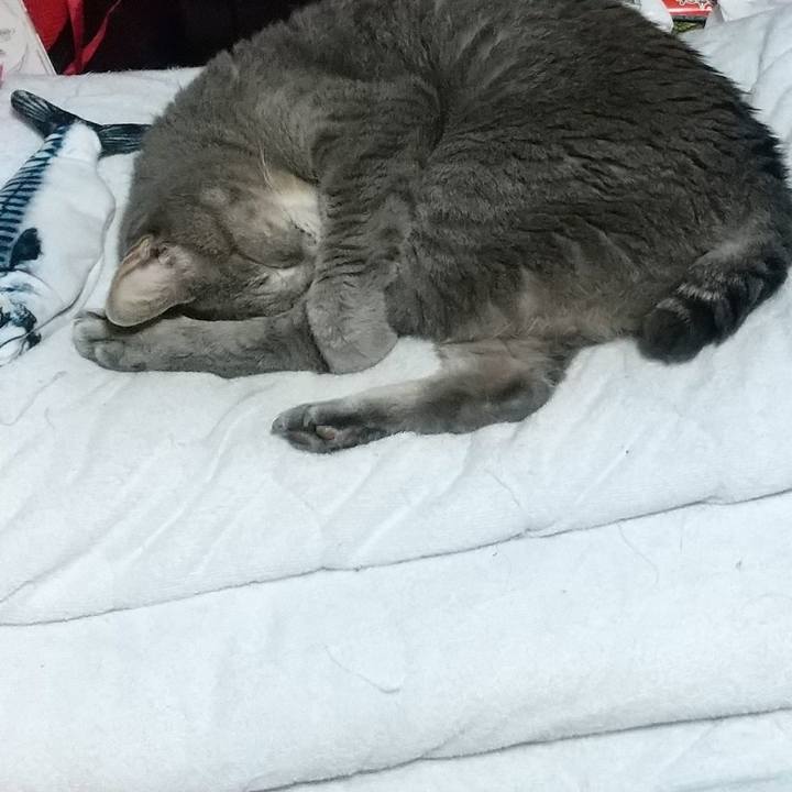 B0d71a51 1d73 427c 9827 566a139fcbb9 1663769157988