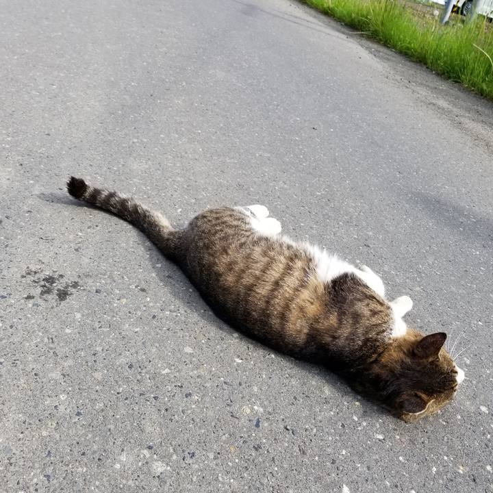 B0d75098 5055 444a a387 df4231c9067b 1591273192115