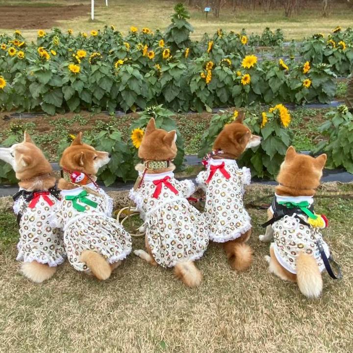 B0d7608a 2f21 49dd 8af7 ff04671a1e91 1670318803611