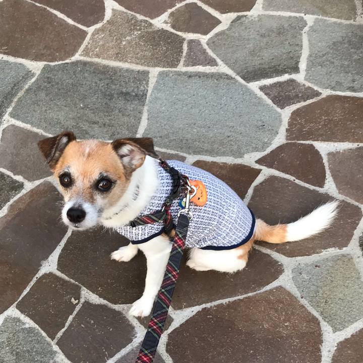 B0d77969 8bd6 4ca6 bc88 05ed911627f3 1565302895744