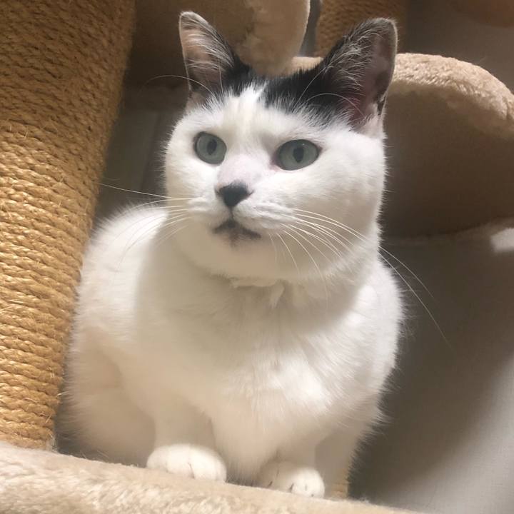 B0d78bcc 149f 483c 820c b832e3132df3 1575329493803