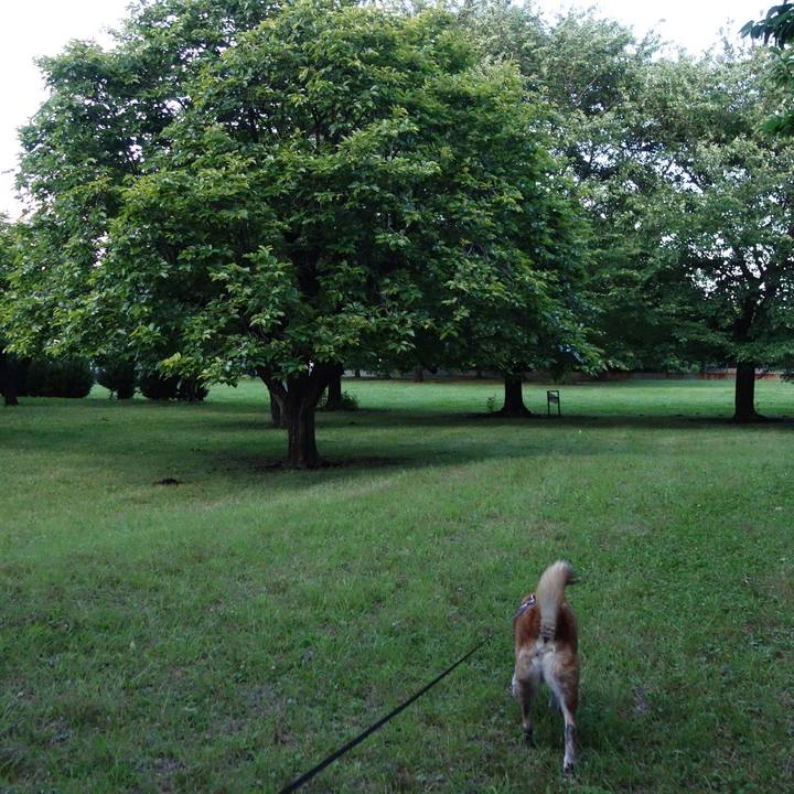 B0d79733 6a0b 4a9d bc87 55537523d160 1560681631250