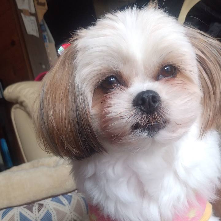 B0d7a0ac 7992 45c8 b76f b581fbc44f95 1581590134850